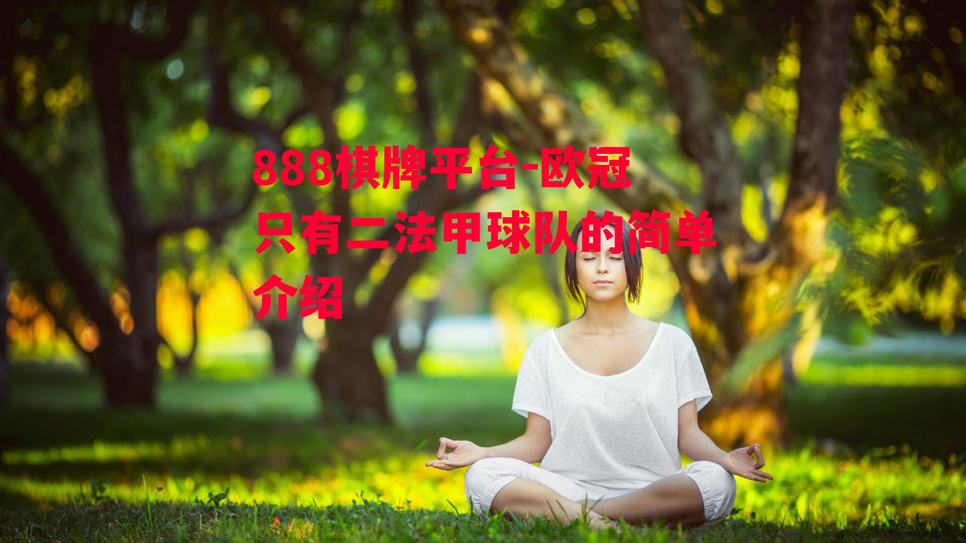 欧冠只有二法甲球队的简单介绍